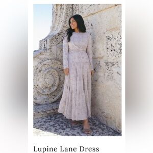 ISO Dainty jewells lupine lane dress